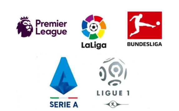 佳的观赛体 佳的观赛体